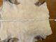 4x Genuine Sheepskin Natural Xxl Large Different Sizes White / Cream Fur Rug