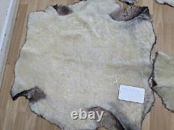 4x Genuine Sheepskin Natural XXL LARGE Different Sizes White / Cream Fur Rug